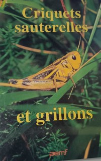 Couverture de MIEUX CONNAÎTRE LES ORTHOPTÈRES