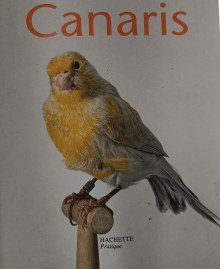 Couverture de TOUT POUR PRENDRE SOIN DE VOTRE CANARI